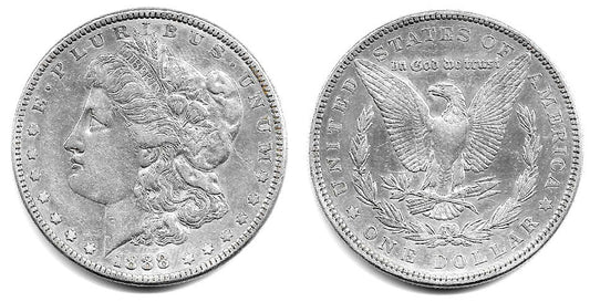 (110) Estados Unidos de América. 1888. 1 Dollar (MBC+/EBC-) (Plata)